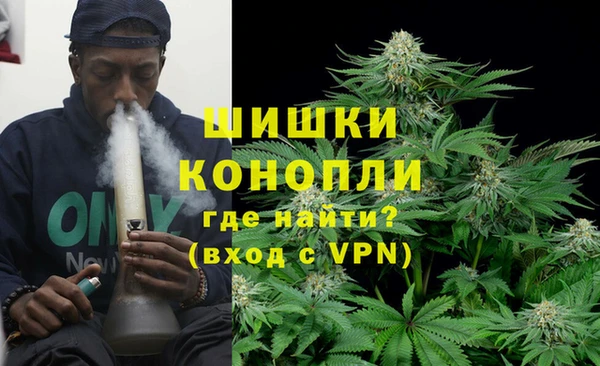 гашик Зеленокумск