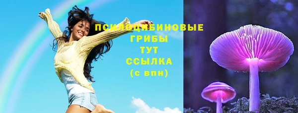 Альфа ПВП Заволжск
