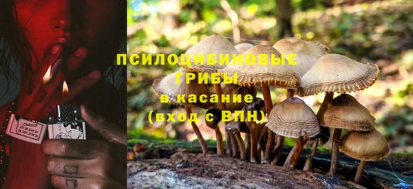 круглые Заводоуковск
