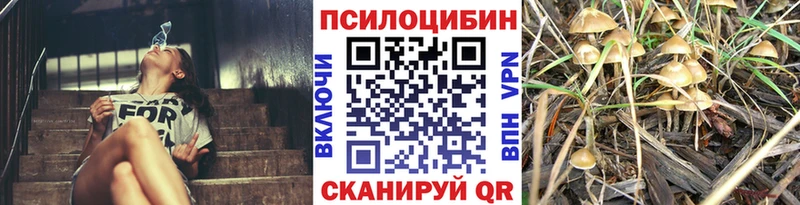 Купить  Закаменск  Галлюциногенные грибы прущие грибы 